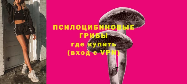 МДПВ Арсеньев